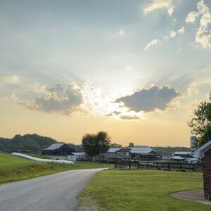 Meet your Posher, Brandy